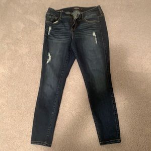 Torrid Jeans